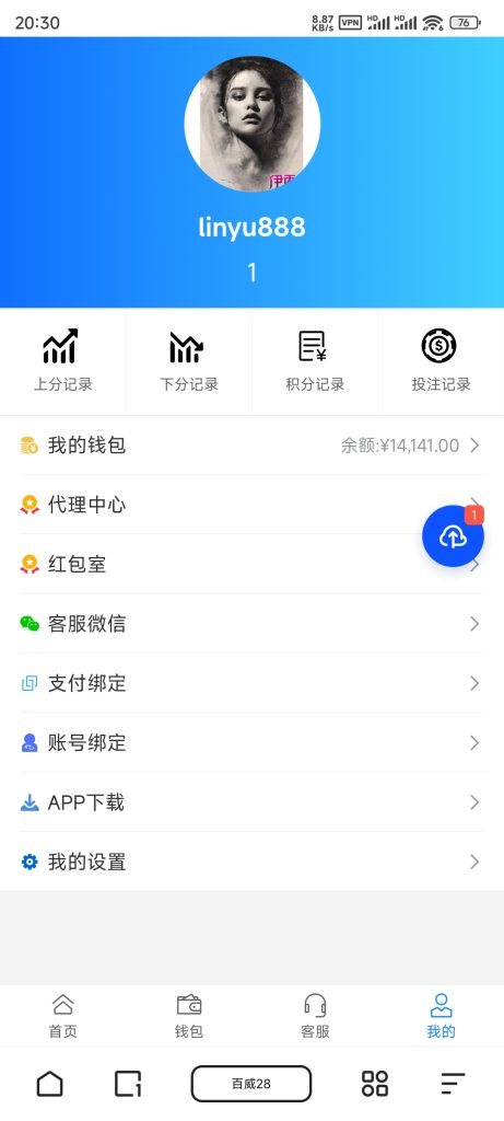 图片[3]-旗舰28T5版本UI1
